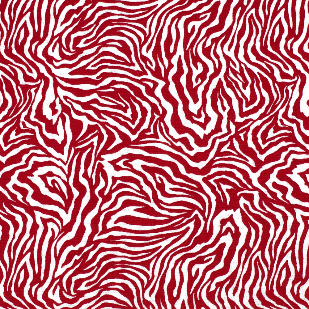 Zebra Print Cotton - Image 5